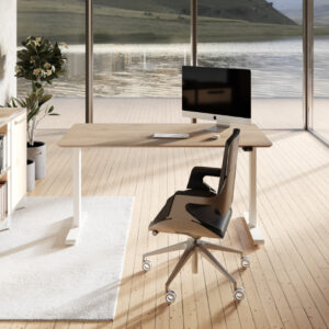 DESKWISE Lagom